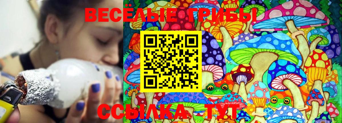 Амурск  Галлюциногенные грибы Magic Shrooms  Вход с VPN 