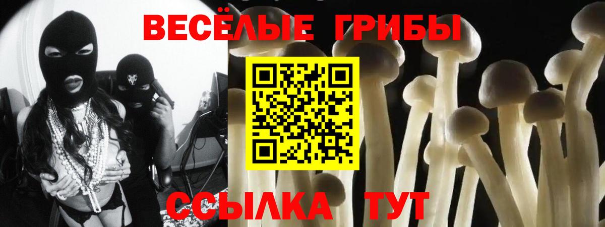 Псилоцибиновые грибы мицелий Амурск